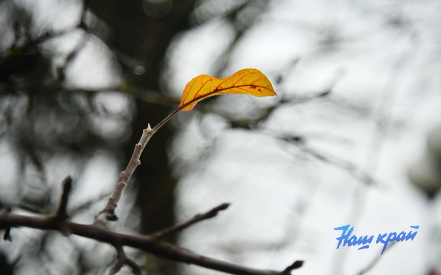 pogoda-1-dekabrya- (5).JPG